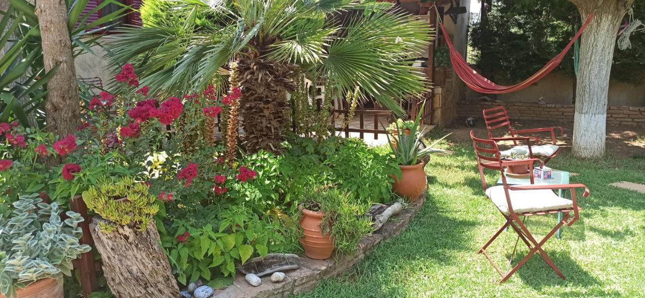 Mozart House Studio Amarynthos Bagian luar foto