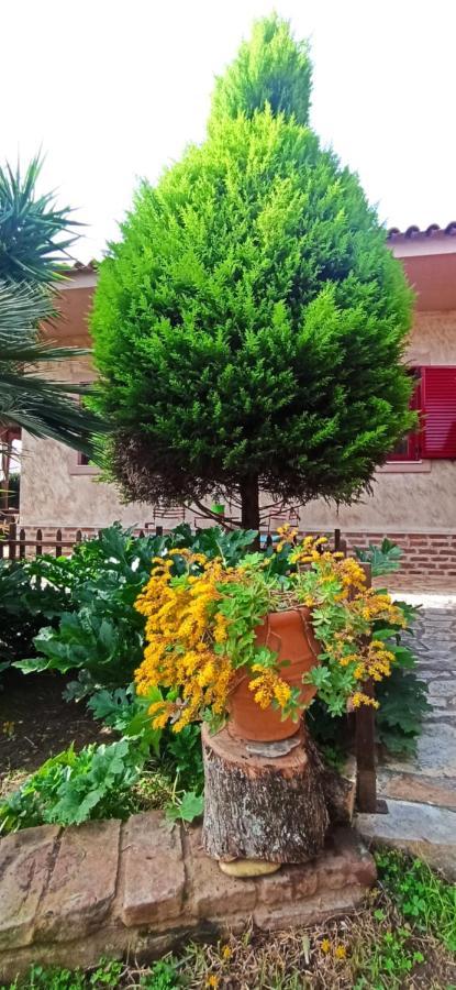 Mozart House Studio Amarynthos Bagian luar foto