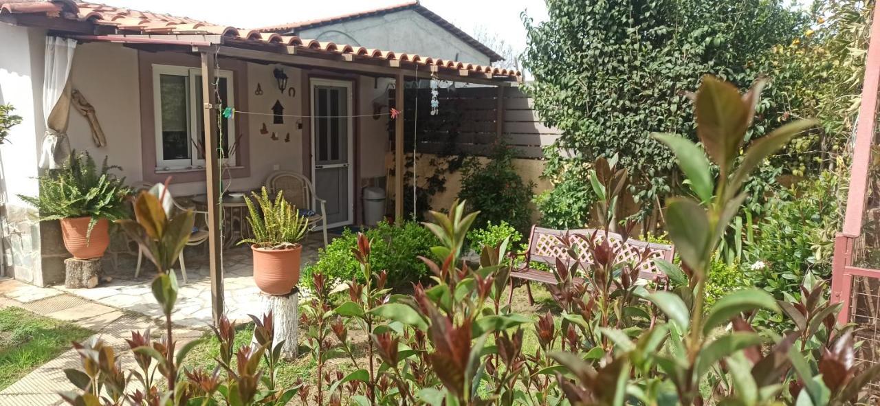 Mozart House Studio Amarynthos Bagian luar foto