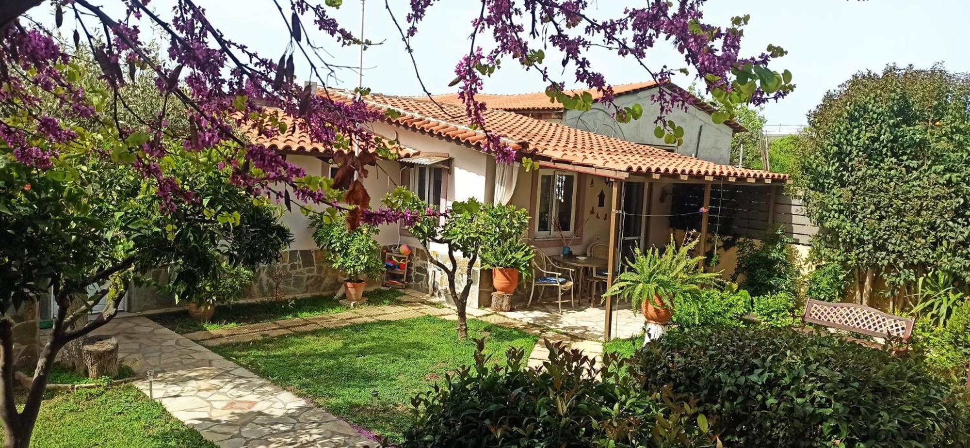 Mozart House Studio Amarynthos Bagian luar foto