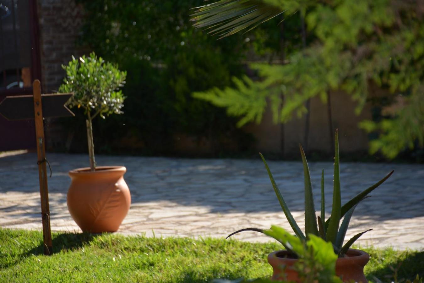 Mozart House Studio Amarynthos Bagian luar foto