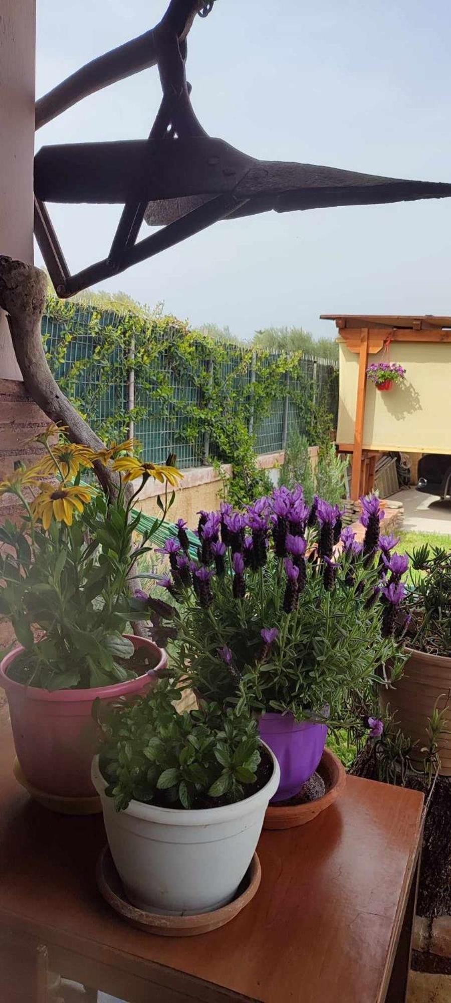 Mozart House Studio Amarynthos Bagian luar foto