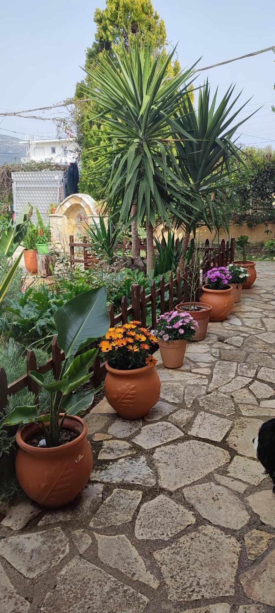 Mozart House Studio Amarynthos Bagian luar foto
